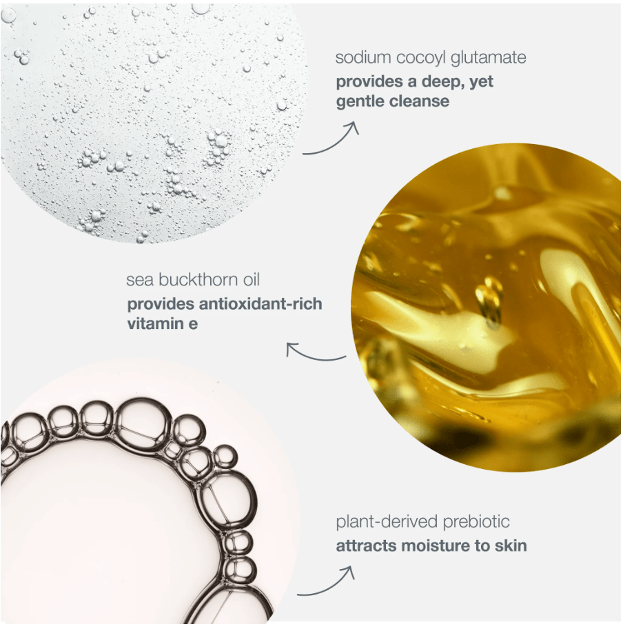 Dermalogica Oil to Foam Total Cleanser - Seraphim Beauty